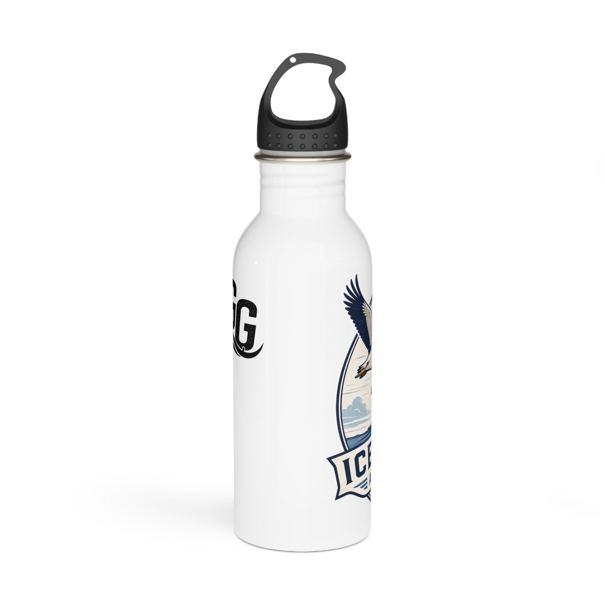 Icelandic Airforce Stainless Steel Water Bottle — Vintage Seagull Travel Bottle